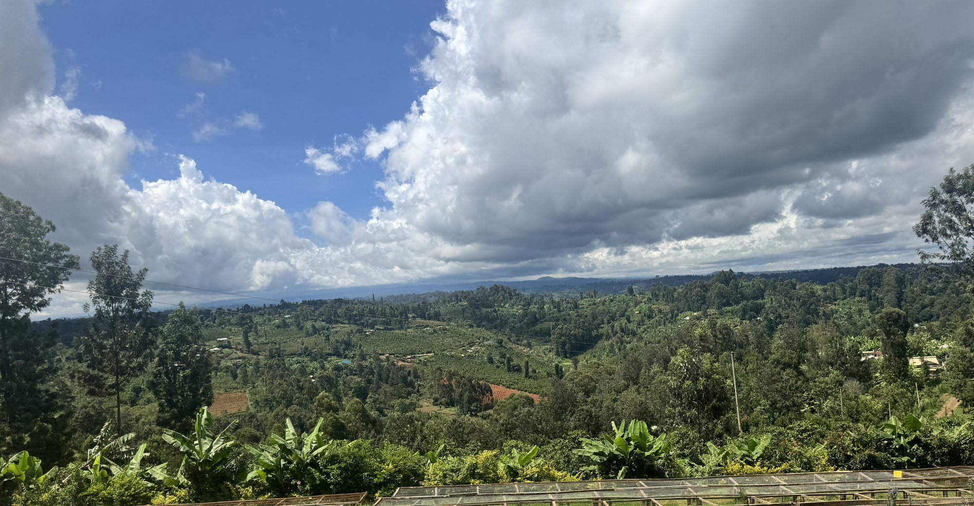 The Kirinyaga highlands and coffee landscape at Ngacha Coffee Estate, Kenya